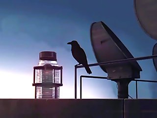 She Loves Deep Drilling & Creampie!